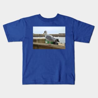 Seagull Walks Along Beach Kids T-Shirt